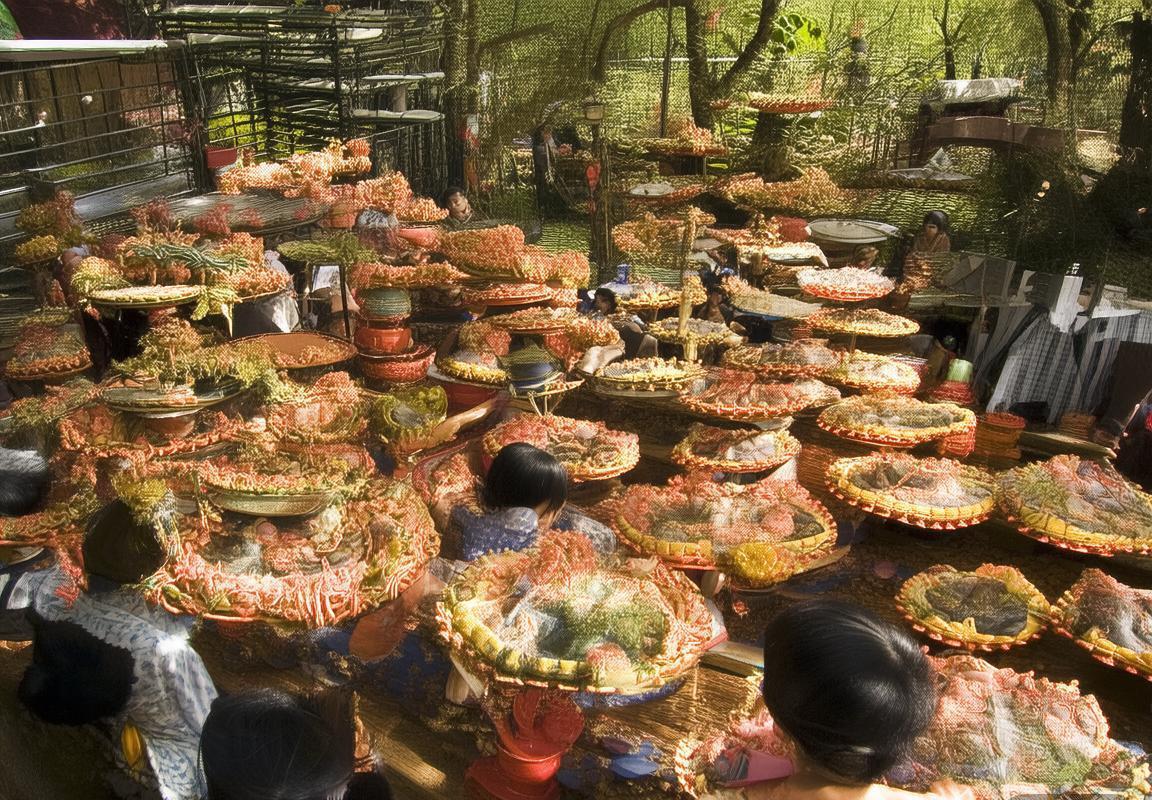 新秀复刻勒布朗·詹姆斯神迹！连续高分冲击最佳新秀，克尼佩尔遭遇强敌